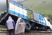 Camión que transportaba frutas se accidentó en El Cajas