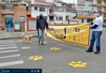En Cuenca se realiza campaña «Yo Freno por Ellos»