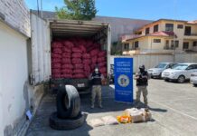 Retienen camión con cebolla de contrabando en Zhucay