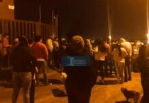 Castigan a individuo que intentó robar ganado en San Joaquín