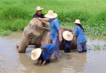 ECUADOR TIERRA DE AVENTUREROS