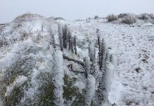 El Cajas se cubrió de nieve el fin de semana
