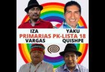 División en Pachakutik: Iza, Yaku, Vargas y Quishpe aspiran a Carondelet