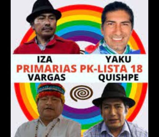 División en Pachakutik: Iza, Yaku, Vargas y Quishpe aspiran a Carondelet