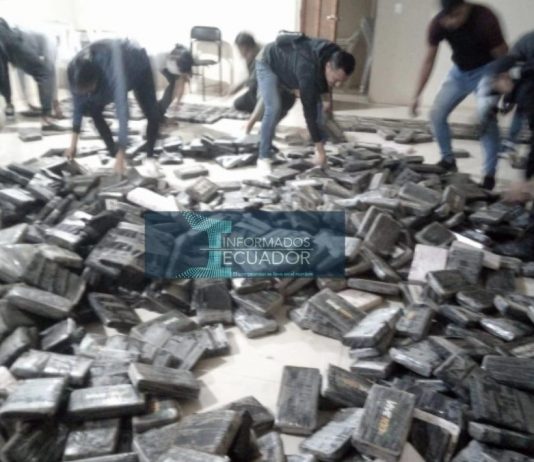 En Loja decomisan una tonelada de marihuana; hay dos peruanos detenidos