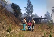 Policía rescata a mujer de vivienda afectada por el incendio forestal en Molleturo